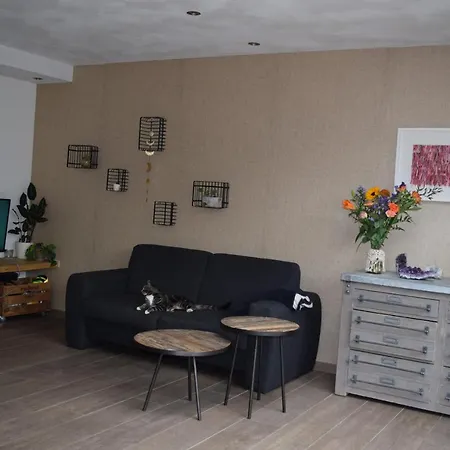 Van Gogh Village Feriehus Nuenen